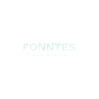 Partner 5